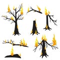 Trees in the fire. Forest fire.